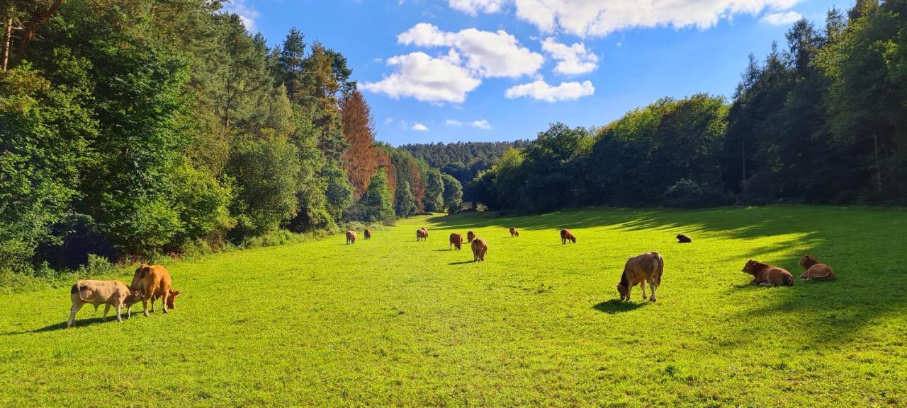 Eifelhof Mit Obstbaumwiese Nideggen Bagian luar foto