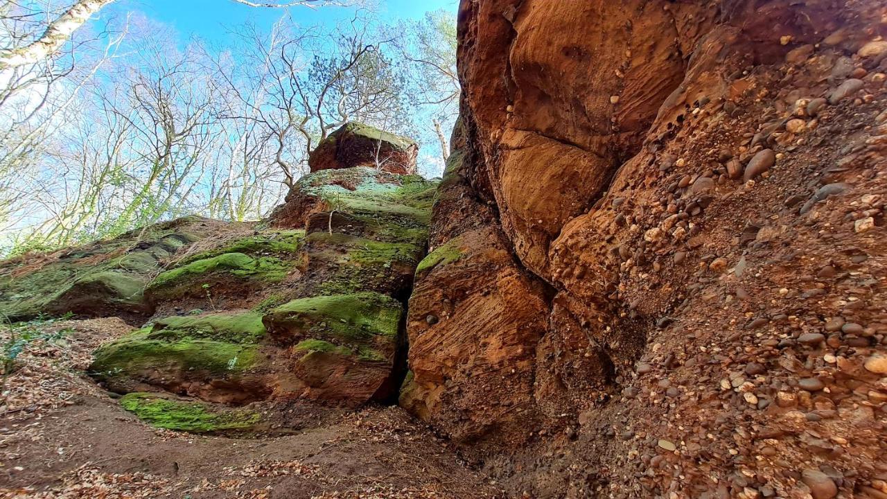 Eifelhof Mit Obstbaumwiese Nideggen Bagian luar foto