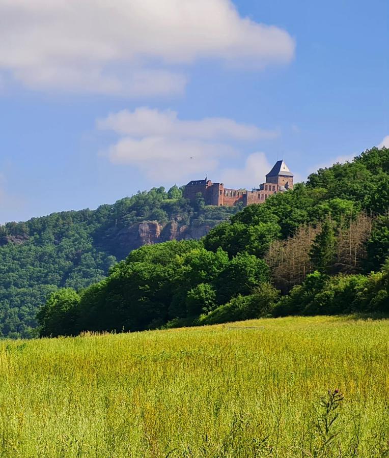 Eifelhof Mit Obstbaumwiese Nideggen Bagian luar foto