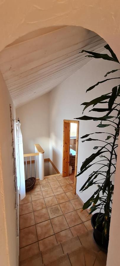 Eifelhof Mit Obstbaumwiese Nideggen Bagian luar foto